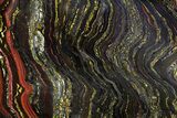 Polished Tiger Iron Stromatolite - ( Billion Years) #65359-1